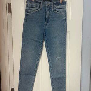 Joe's Jeans Women's Skinny Jeans in Blue